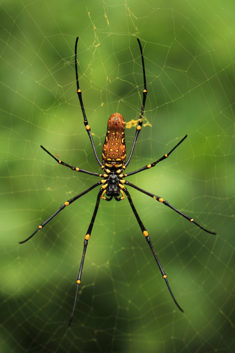 James O'Hanlon tweet media