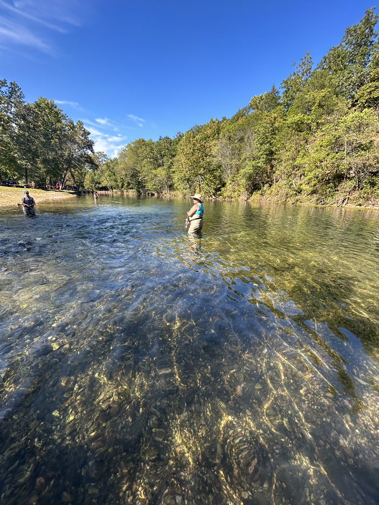 Joy Brigman tweet media