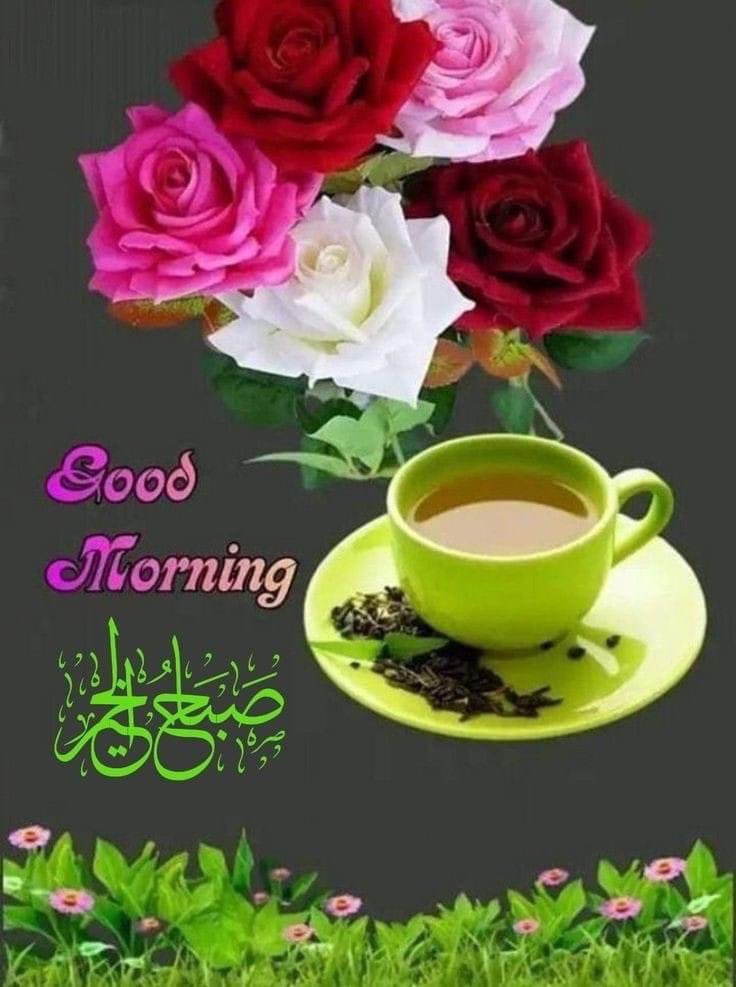 صباح_القلوب ..🌹
                🕊️💕التي يسكن الورد رسائلهم 
وتفيض بالعطر حروفهم ..!! 🌹
يحملون الود في حديثهم 🌹
والنقاء غيمٌ يمطر من قلوبهم🌹
#صباح_الورد 
للقلوب الطيبة النقية🌹
التي تثمر حباً وتعطينا الأمل🌹
في الحياة لمن يملكون جمال الروح🌹 🕊️💕
وصفاء النية ..🥀