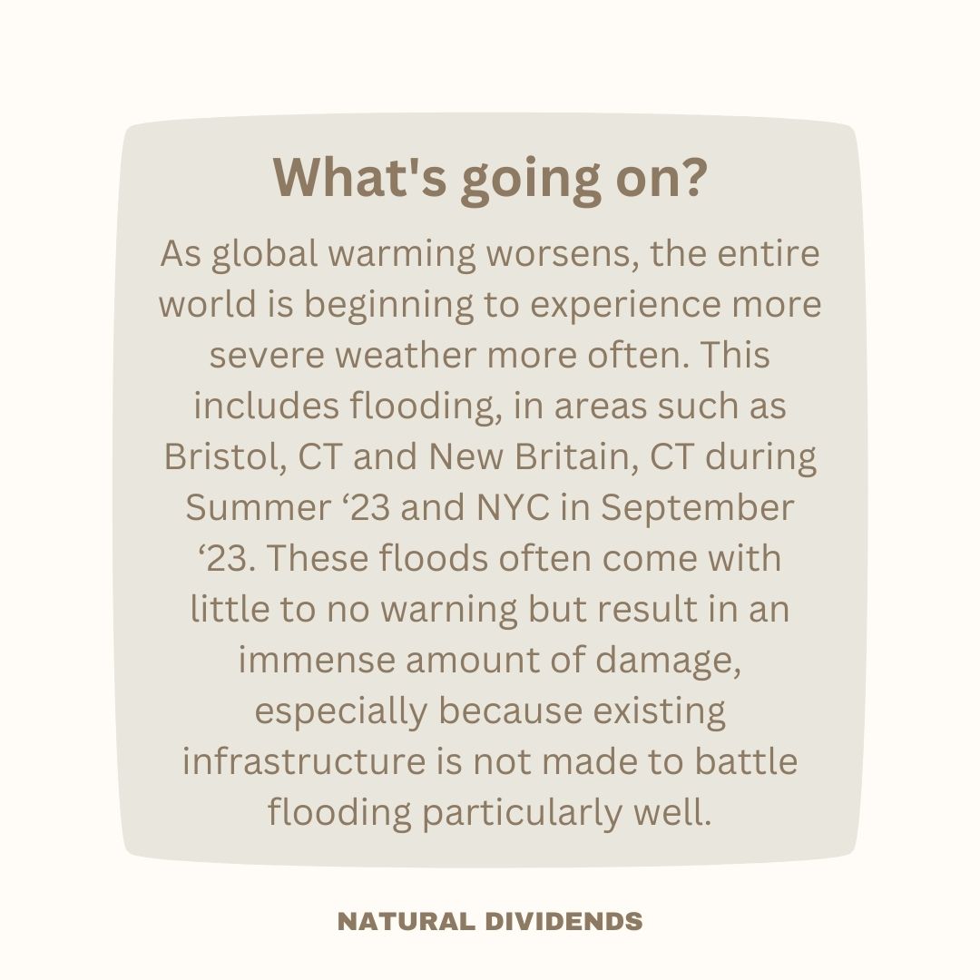 natdividends's tweet photo. Closing out September by taking a look at an increasingly prevalent issue - flooding, specifically in CT and NYC.

As global warming worsens, flooding will only become more and more prevalent across the US. https://t.co/bCwltG8h1J
