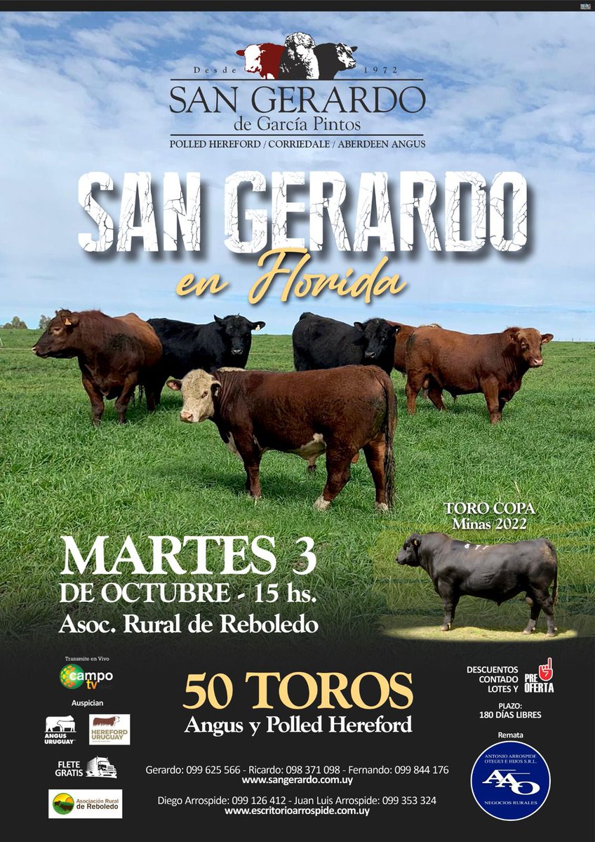 Angus Uruguay tweet media