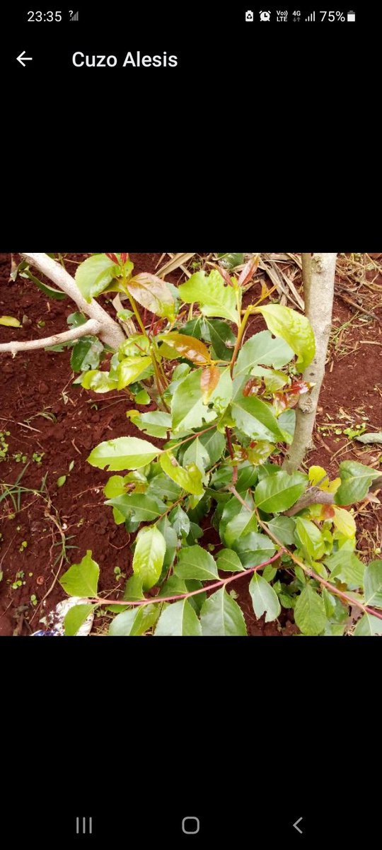 madawa Snr 237 (@simonmu69254345) on Twitter photo #USIKUSACCO
<a href="/RadioCitizenFM/">Radio Citizen</a>
<a href="/DjBlingOfficial/">Abel Maunda</a>
@ShattaTikiTaka
<a href="/gikonyo_muchiri/">Gikonyo Muchiri</a>
<a href="/GatekeeperKe/">GateKeeperKE</a>
<a href="/RahimMPaul1/">Rahim M Paul</a>
<a href="/MaggyNduvi/">@Maggy Nduvi (Jah Lady)ππβ€οΈ</a>
<a href="/gaucho237/">Gauchooh Austine</a>
<a href="/MpesaYahKangemi/">ππ‘ππ€π πππ πππππππ π΅π€βπ π¦π₯π23π</a>
π»π»π»π»π»π»π»106.7
π₯π₯π₯π₯π₯π₯π₯
237 theeeka we deah
Reggeabling #USIKUSACCO
<a href="/RadioCitizenFM/">Radio Citizen</a>
<a href="/DjBlingOfficial/">Abel Maunda</a>
@ShattaTikiTaka
<a href="/gikonyo_muchiri/">Gikonyo Muchiri</a>
<a href="/GatekeeperKe/">GateKeeperKE</a>
<a href="/RahimMPaul1/">Rahim M Paul</a>
<a href="/MaggyNduvi/">@Maggy Nduvi (Jah Lady)ππβ€οΈ</a>
<a href="/gaucho237/">Gauchooh Austine</a>
<a href="/MpesaYahKangemi/">ππ‘ππ€π πππ πππππππ π΅π€βπ π¦π₯π23π</a>
π»π»π»π»π»π»π»106.7
π₯π₯π₯π₯π₯π₯π₯
237 theeeka we deah
Reggeabling