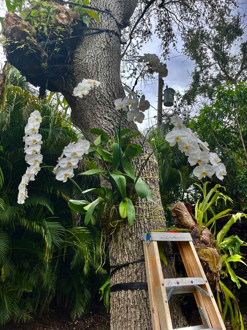 😍 https://t.co/AGu9izPV7u<a href="/tag/moneycome"class="tags"><span>#moneycome</span></a>