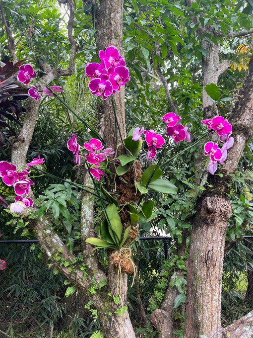 😍 https://t.co/AGu9izPV7u