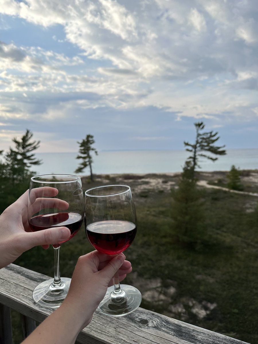 jamies_bagels's tweet photo. Pure Michigan @o24 https://t.co/4GjM6Dolks