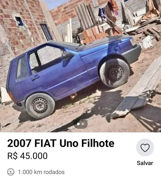 pq todo filhote &eacute; fofo vei https://t.co/XO6DmS6jMB