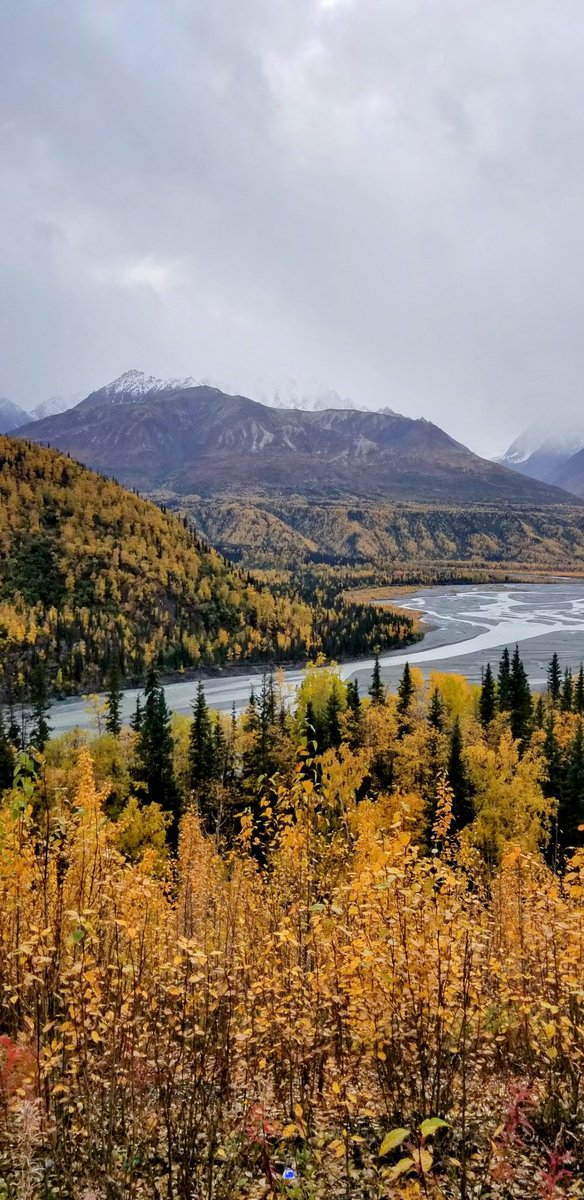 Carriebou50's tweet photo. Fall at it's peak. https://t.co/6krMRXmGbW