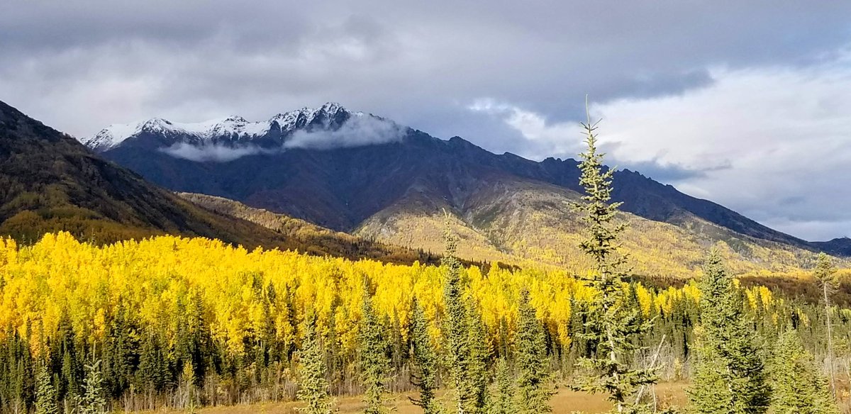Carriebou50's tweet photo. Fall at it's peak. https://t.co/6krMRXmGbW