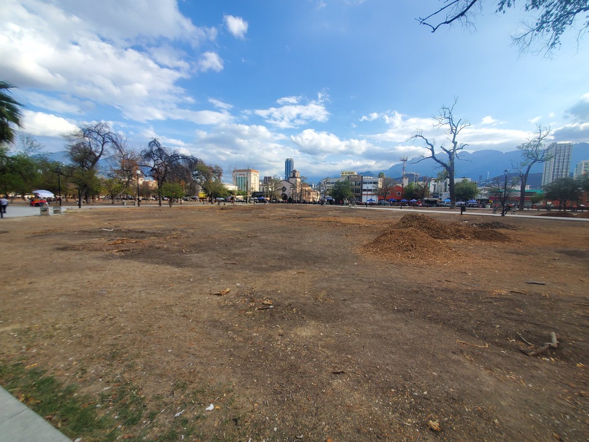 urielvelez07's tweet photo. No parece, pero esta es La Alameda Mariano Escobedo, en #Monterrey https://t.co/wMWBTDXvw8