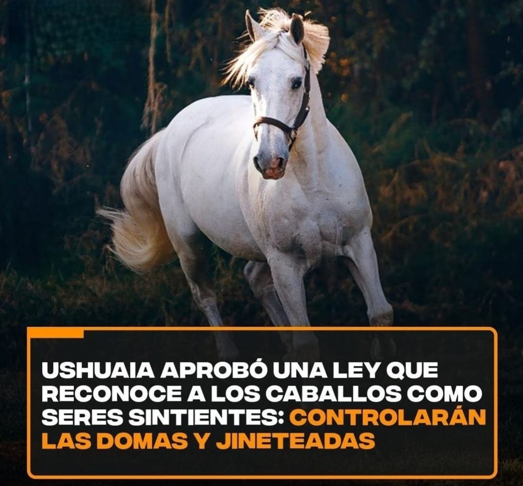 haraselaromo's tweet photo. #BienestarAnimal #RespetoAnimal #MaltratoAnimal #Leysintientes #NoAlMaltratoAnimal
#HagaLaDenuncia911 
#NoMaltratoAnimales #NoAlMatratoAnimal
#SeresSintientes #SujetosDeDerecho
#Ley14346 #ReformaLey14346
#MPFCABA

Lama al 0800-333-47225 MPF CABA

https://t.co/pxygQJ0Wuv https://t.co/gL7JuFqf7e
