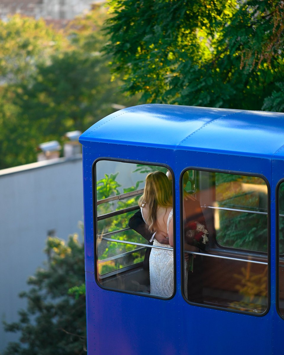 Lice.Ulice 📸 tweet media