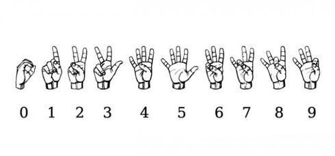 🌙✨Calypso✨🌙 tweet media