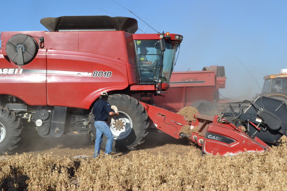 josepeiretti's tweet image. Beans #harvest season here in Kansas. Some #combines are covered in black dust from crop mold, I think. It made me remember when, a few years ago, we had problems with the impact plate of the yield monitor in #Salta, Argentina. The answer in the last photo #fromthefield