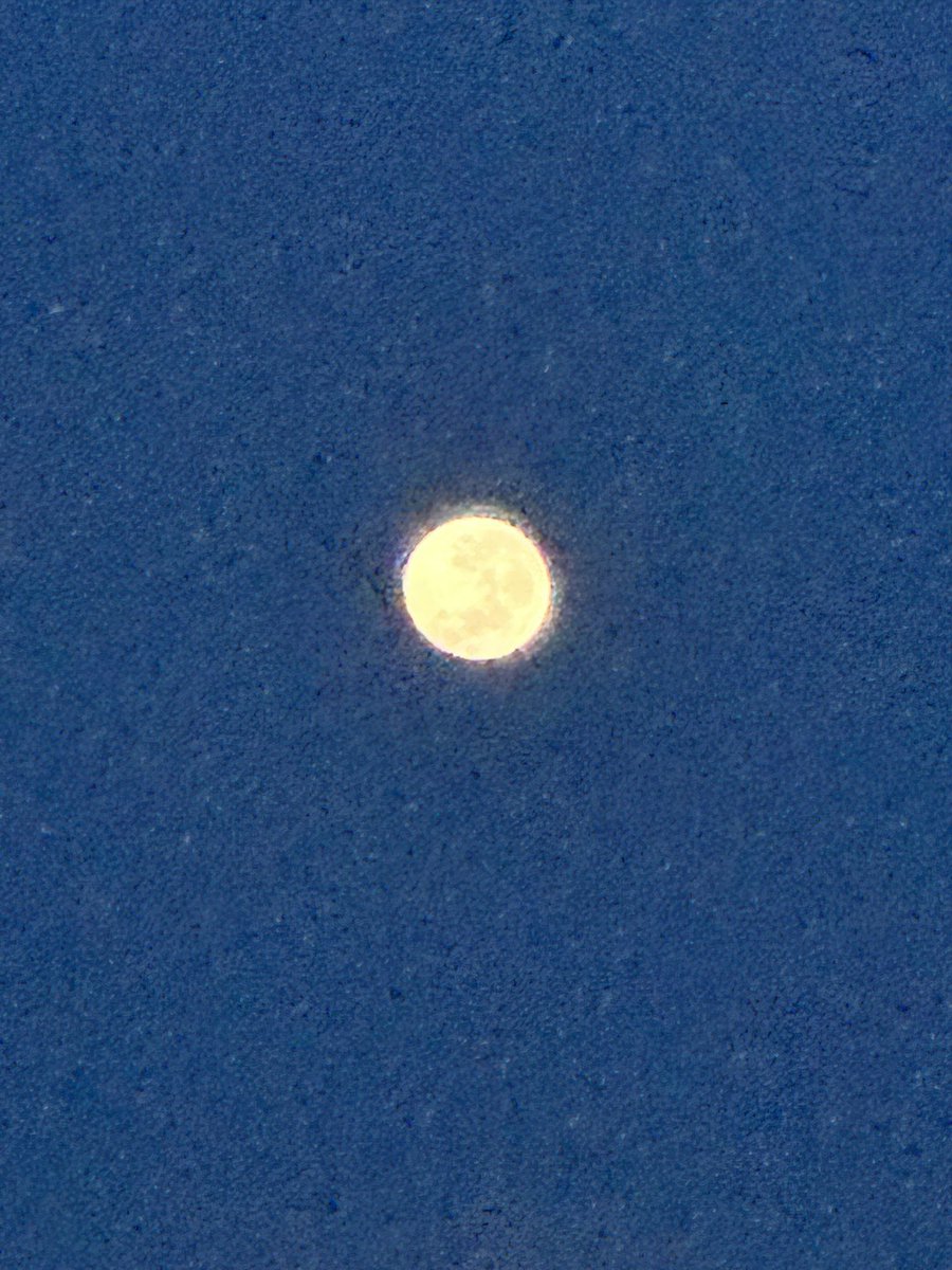taro_liam's tweet image. #iP14pro 15x Zoom Moon shot. Lol