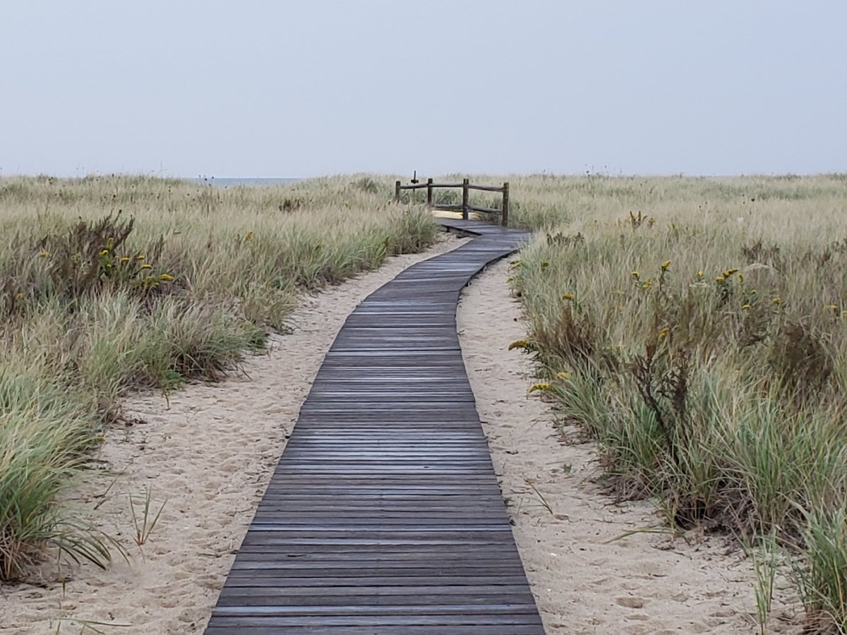 jinzilla20's tweet image. Beach Stroll on a Raw, Rainy Day. #Bay #Bayside #CapeCodBay