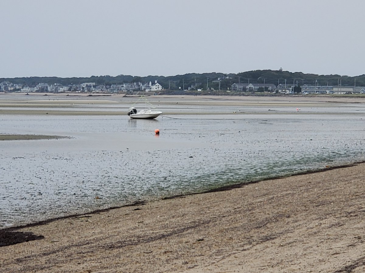jinzilla20's tweet image. Marooned. #Bay #Bayside #CapeCodBay