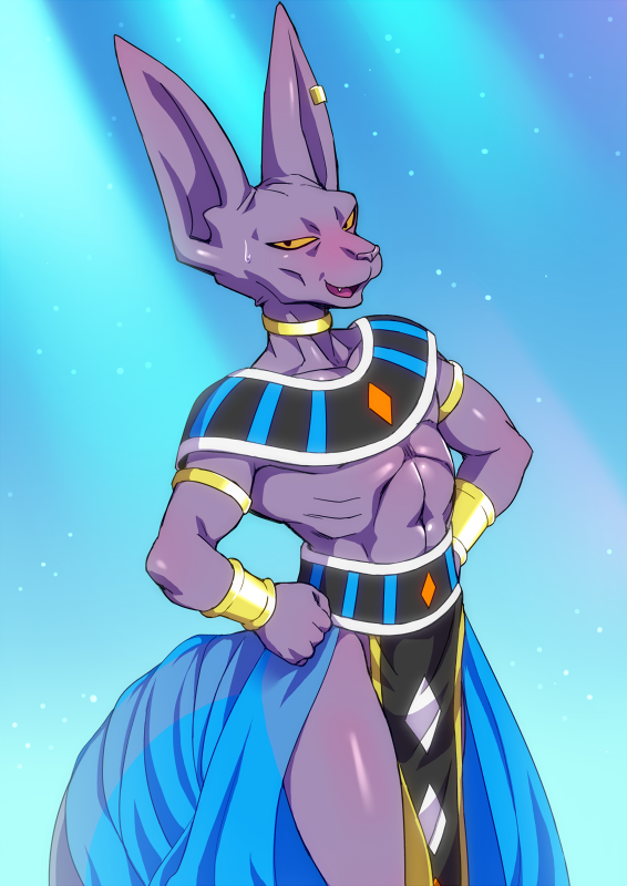 Lord Beerus【ビルス】 tweet media