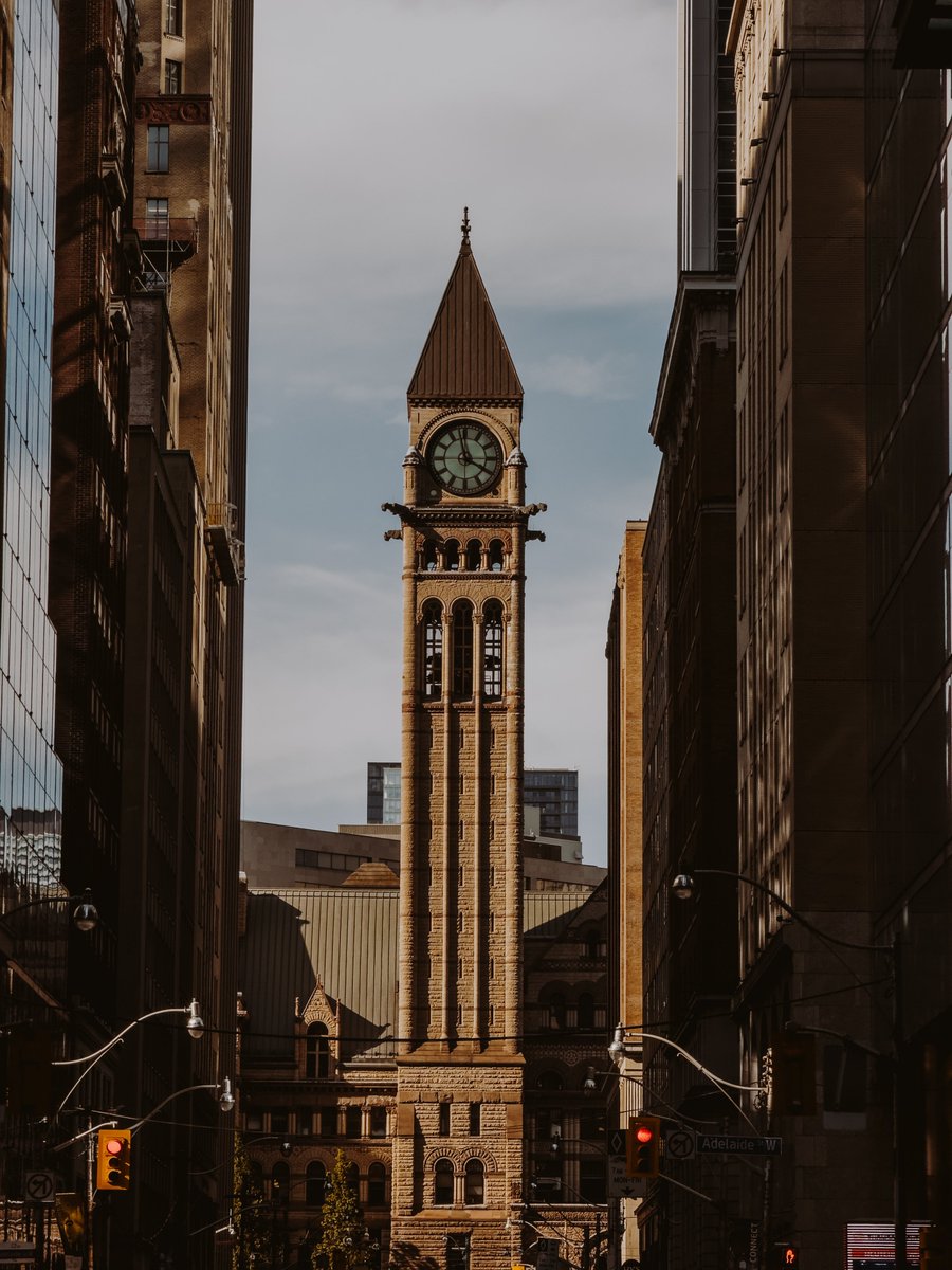 Shevon Salmon tweet media