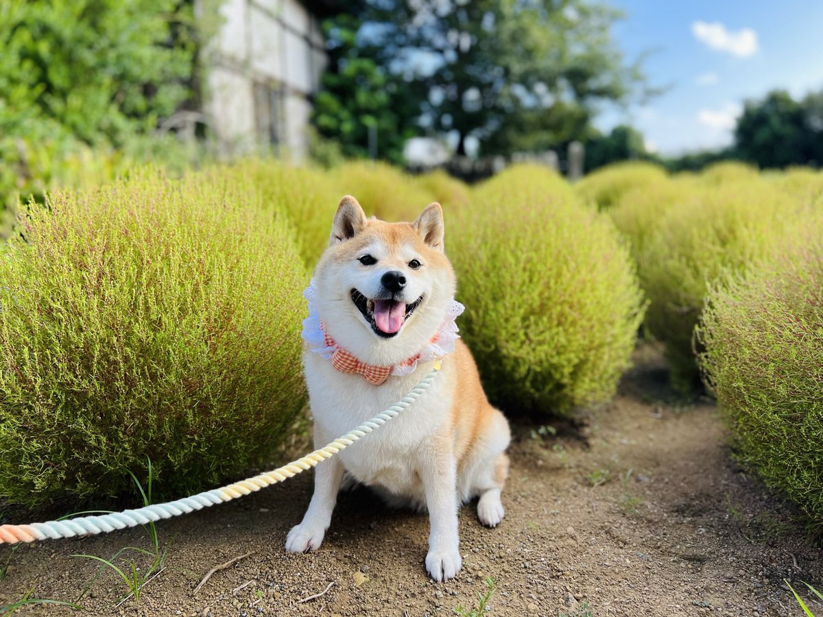 ( ´△｀)ｱｧ-！！
そーいえば、今年はカレンダー作成のお声が掛からなかったー💦
フォロワーさんに言われて気づいたよ💦ざんねーん。楽しみにしてくれていた方(居るかな😅)すみません。自分で作ろうかな🤭