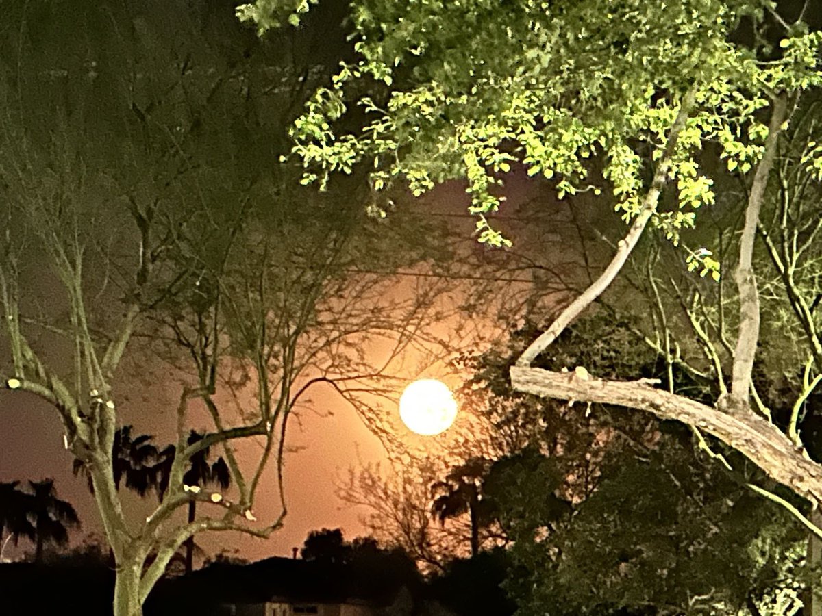 Happy moon festival last night! Look at that beauty! Maybe this can be lunar appreciation night for those of you not into moon cakes 🥮 #MidAutumnFestival #MoonFestival #Mooncakes @NASAArtemis #apollo @blueorigin @SpaceX