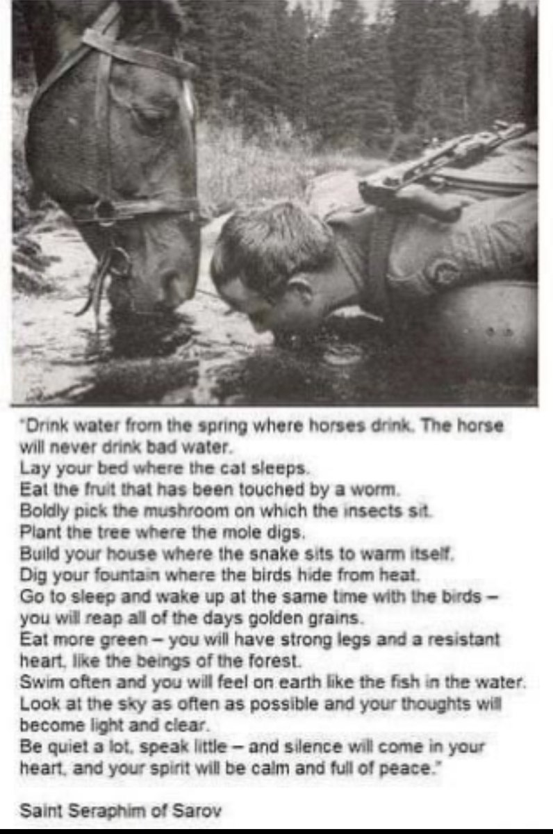 MakingFranklins's tweet image. Words of wisdom⭐️