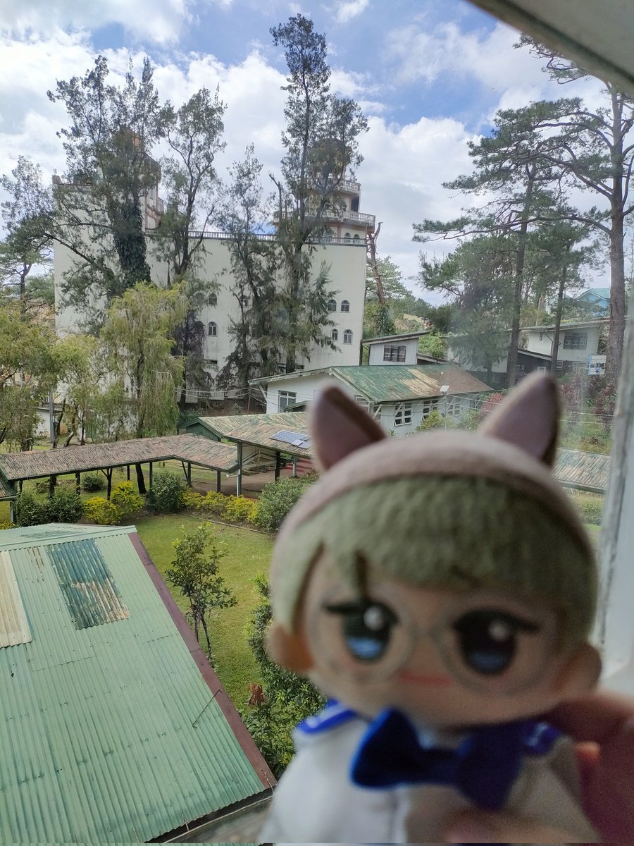 chikanui (@cabbagenui) on Twitter photo 