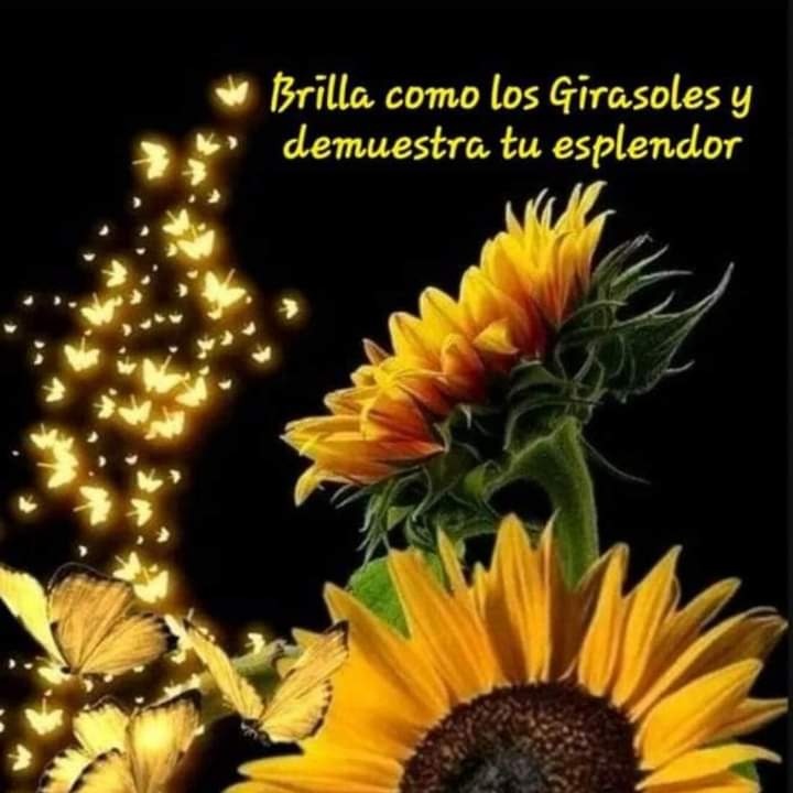 MadeLourdesDaz6's tweet photo. #NuevaFotoDePerfil https://t.co/vD7l4pYMCm