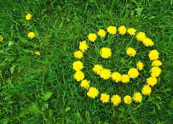 DTNEtiquette's tweet photo. Smile, breathe, repeat...my super simple approach to staying calm when facing challenges! ~ #DTN #HereComesLife #EveryoneHasChallenges #CalmIsASuperpower https://t.co/fPBjP8TtEM