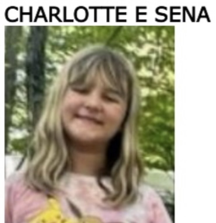 dlevywnyt's tweet photo. BREAKING NEWS - a massive search continues in Moreau State Park involving state police, sheriff’s deputies, forest rangers, infrared drones and blood hounds after 9-year old Charlotte Sena went missing while camping with her family.⁦@WNYT⁩ https://t.co/CW5Xxb0oeM