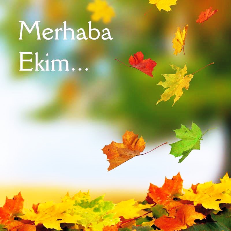 monalis_h's tweet photo. Birbirinize sıkıca sarılın,
birbirinize sıkıca tutunun.
Çünkü;
Mevsimin adı Sonbahar'dır.
Her şey dökülüyor bir bir,
yaprak yaprak dalından…
#Ekim 🌺🍁🍀🎶

Murat Bozoğlu

Mutlu pazarlar ☕️🙏🍁 https://t.co/LJFXsjhu3R