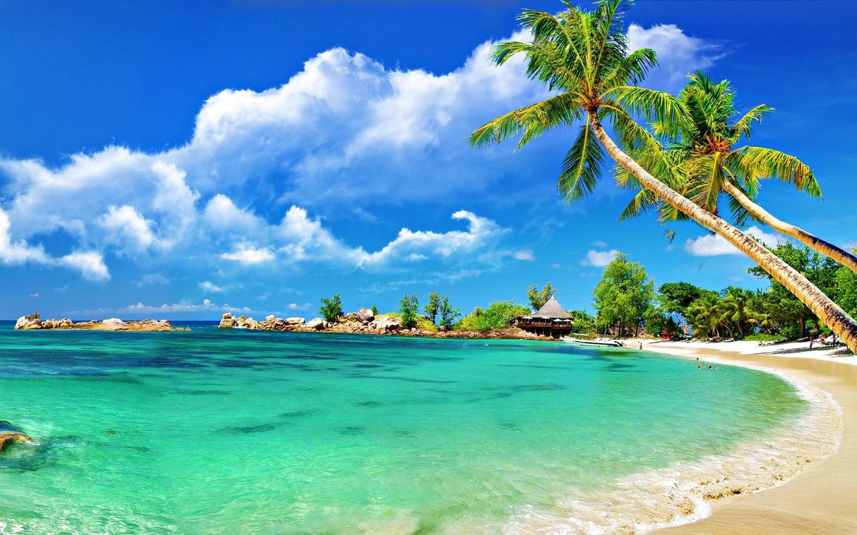 sychaaiyra's tweet photo. I need to see this view now !! https://t.co/N4WOYI1rOR