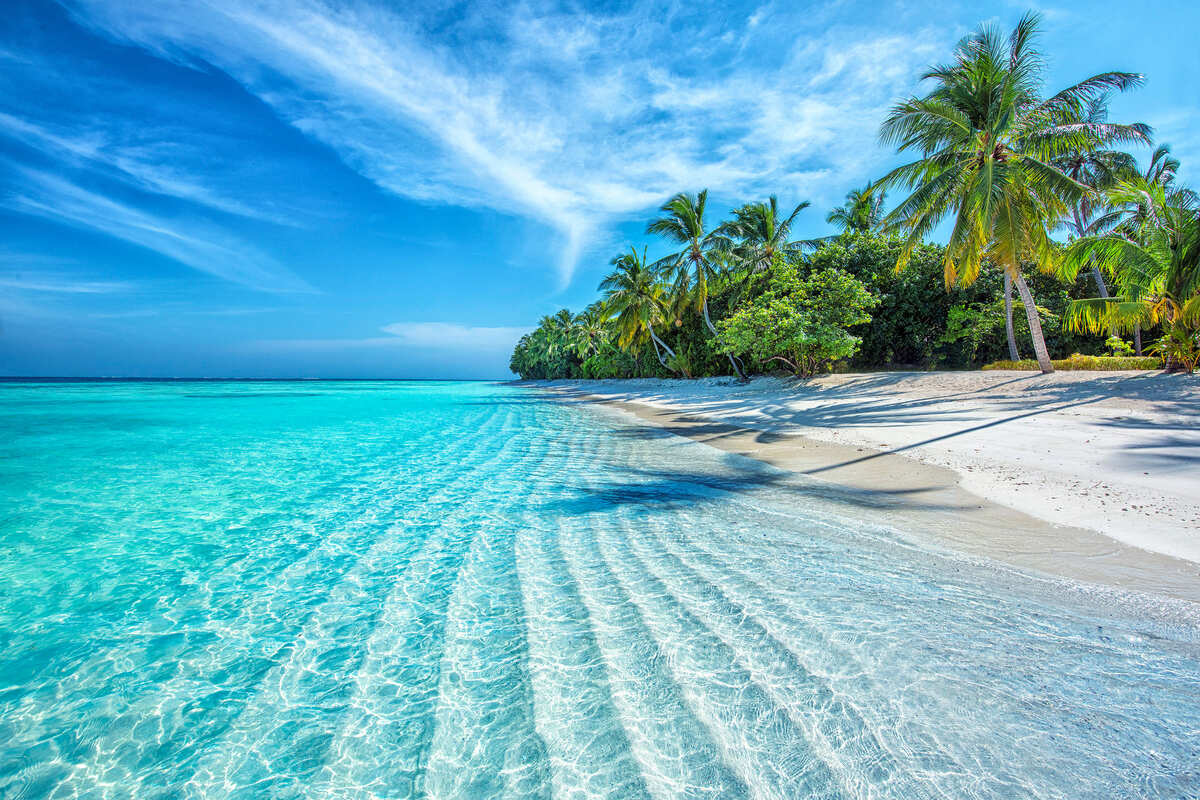 sychaaiyra's tweet photo. I need to see this view now !! https://t.co/N4WOYI1rOR