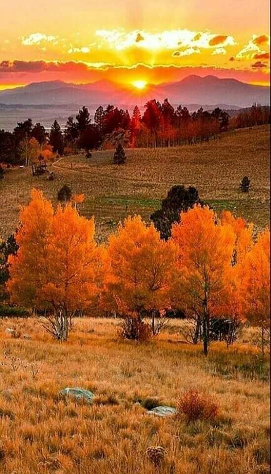 rosmary1741's tweet photo. Sometimes
You feel tired, fed up
And close to breaking down
You'll lose hope
People will hurt you
You'll feel defeated &amp; frustrated
Stay strong as better days will always be
For the ones who matter in your life, Keep fighting
There is a strength within you
even when you feel weak https://t.co/Mbc9qUR1Si