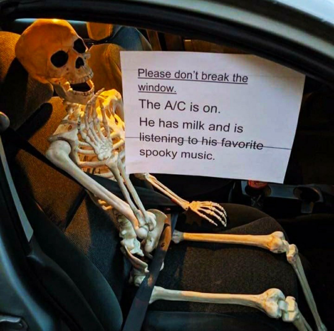 98_emmerich's tweet photo. @_jonathanpicard Sorry can't hear you I'm busy doing this in my car https://t.co/efMgw04hEp