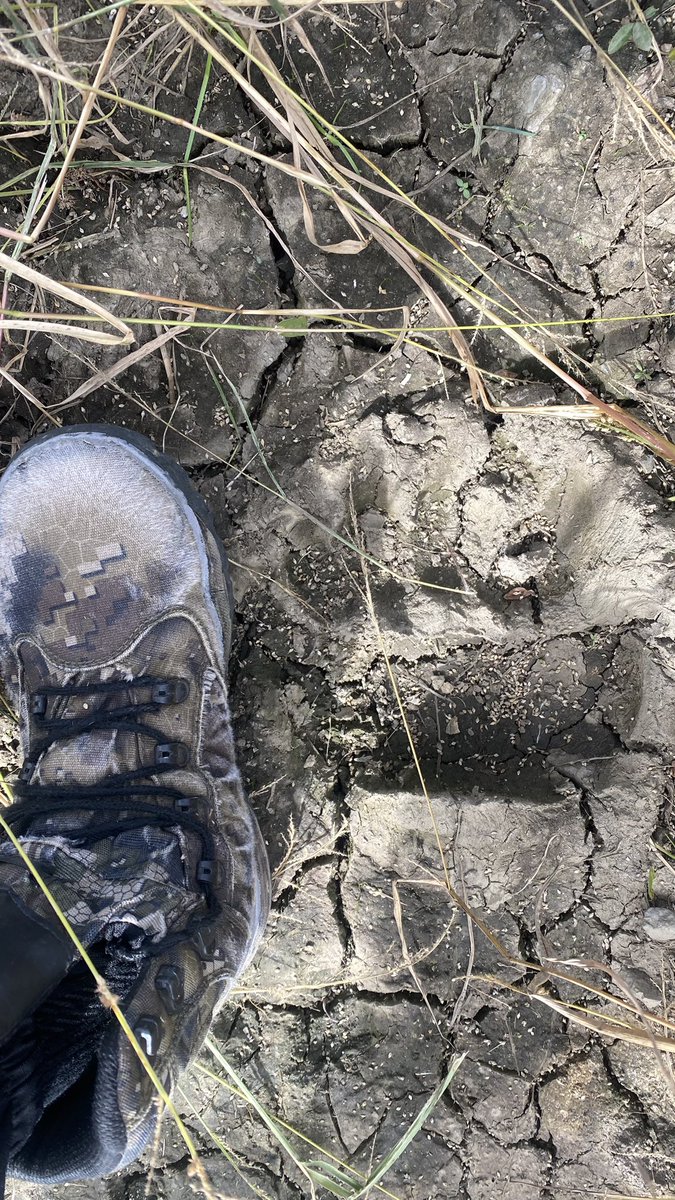 Евгений tweet media