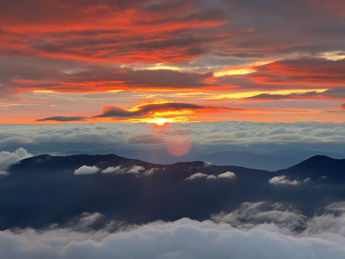 Zoomer Alcibiades tweet media