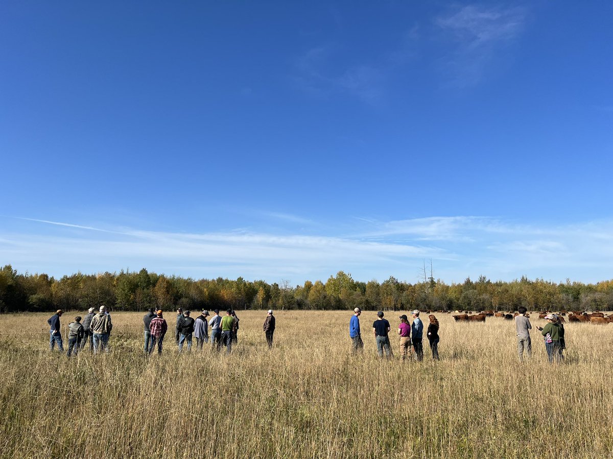 Beef Farmers of Temiskaming (@temiskamingbeef) on Twitter photo We had a great morning learning about extended grazing! Thanks to <a href="/MikeSwidersky/">Mike Swidersky</a> for coming north to share your expertise, Jim Johnston for providing a local perspective and Brad Noyes for hosting and showing us your stockpile grazing. #temiskamingbeef We had a great morning learning about extended grazing! Thanks to <a href="/MikeSwidersky/">Mike Swidersky</a> for coming north to share your expertise, Jim Johnston for providing a local perspective and Brad Noyes for hosting and showing us your stockpile grazing. #temiskamingbeef