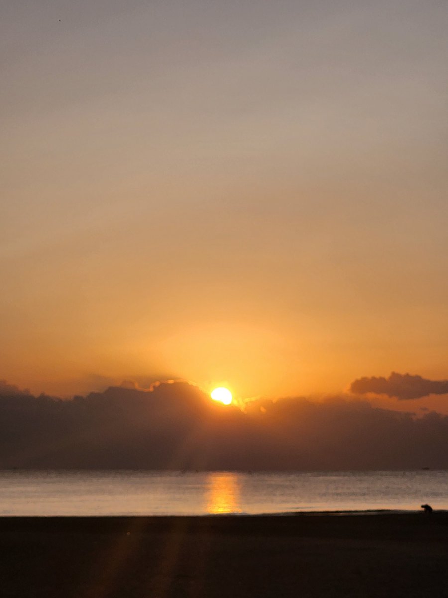 오랜만에 해돋이보내....좋은일 많이 생길여나