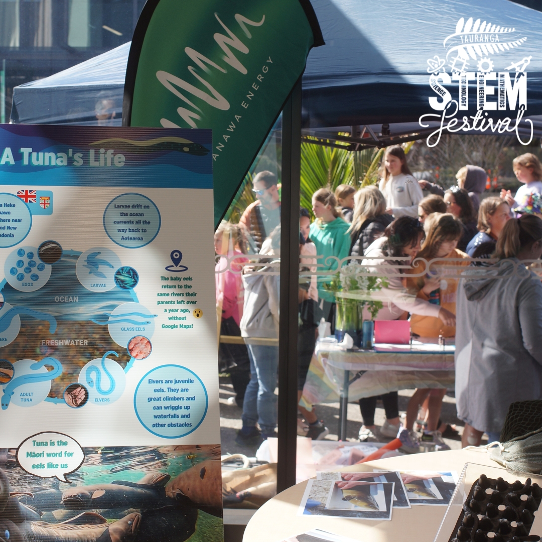 STEMFestNZ tweet picture