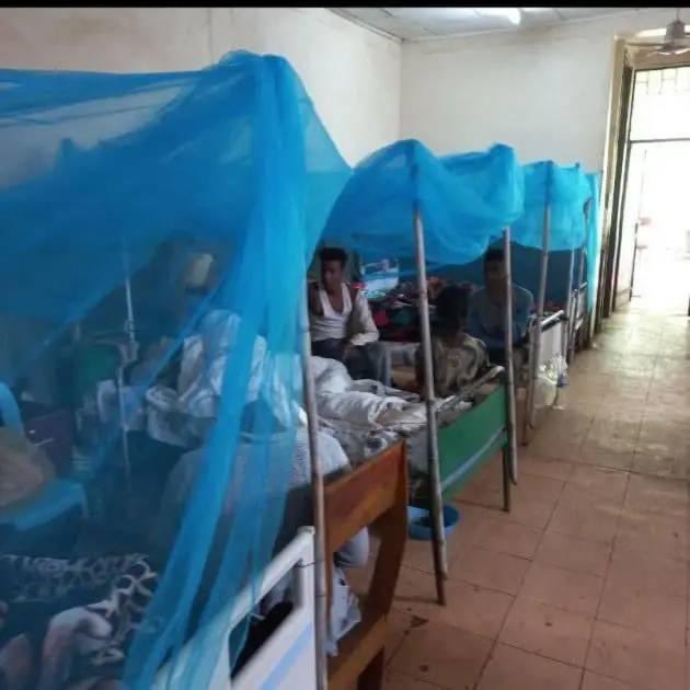 #malaria #malnutrition Wallagaa. 

As per the data from the Easter Wallagaa administration 20,000 Case per week is being reported w majority of these case are children and women.@lia_tadesse @UNHCREthiopia @ShimelisAbdisa @dereje_dugumaMD