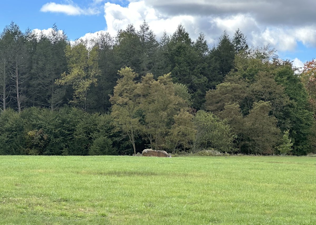 hweikelphoto's tweet photo. Made the trip out to the #Flight93Memorial and if you have never been there, please make the trip. It was very mixed emotions to know what a horrific thing happened in such a serene spot. #NeverForget https://t.co/xrbnYa0ECl