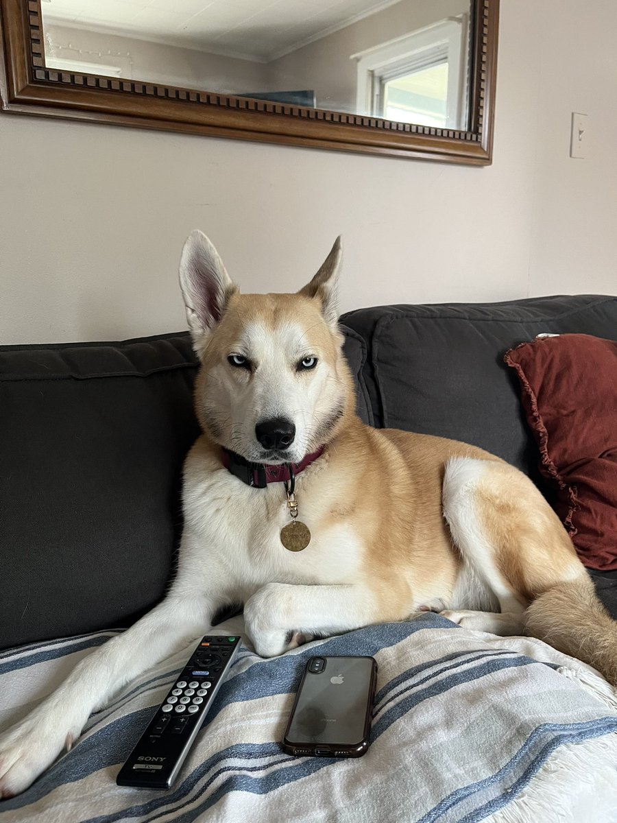 uunclebuuck's tweet photo. couch potato-ing at my dad’s house one last time 💛 https://t.co/38bZb4vU8C