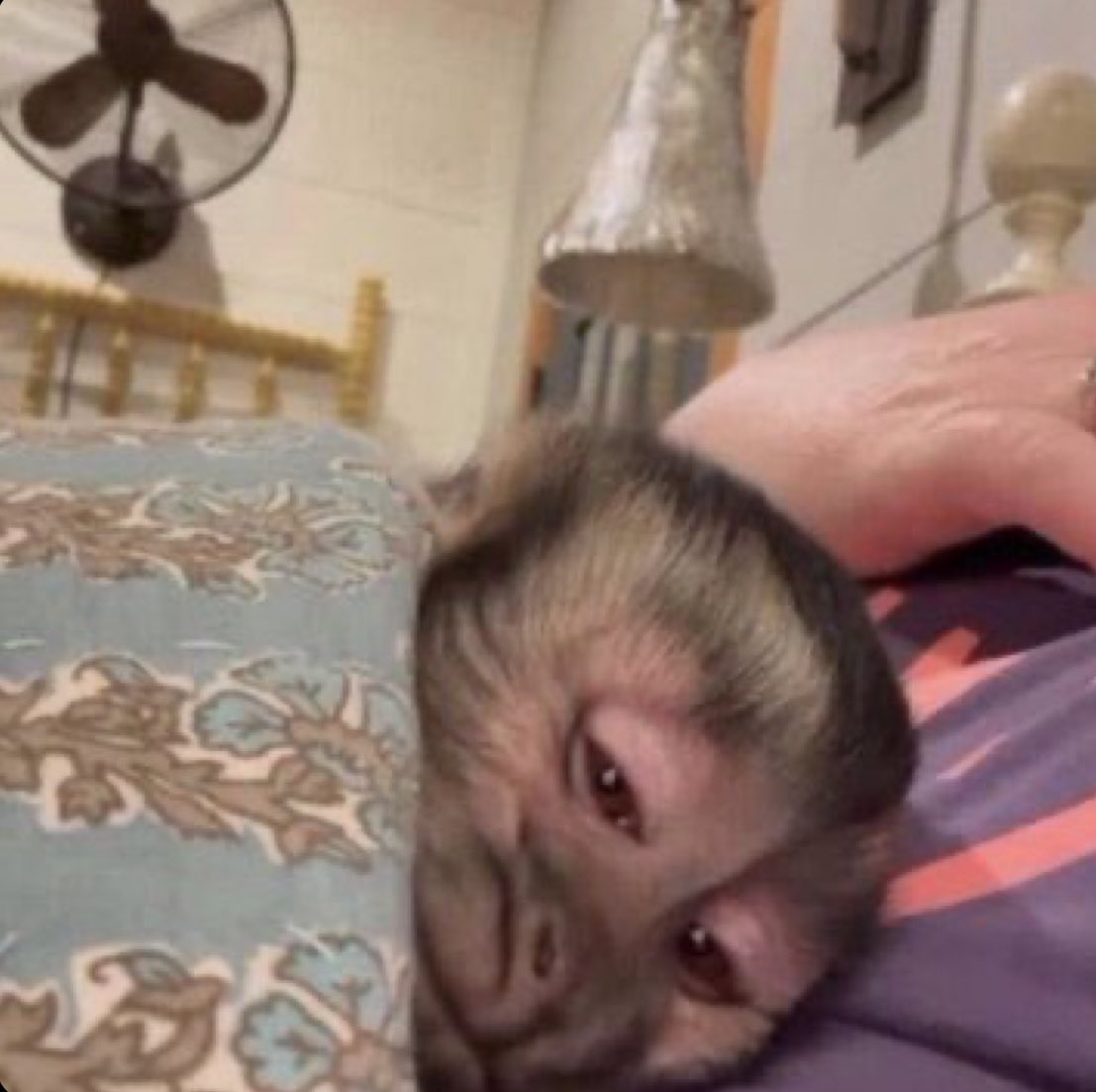 “Otra noche loca de sábado “