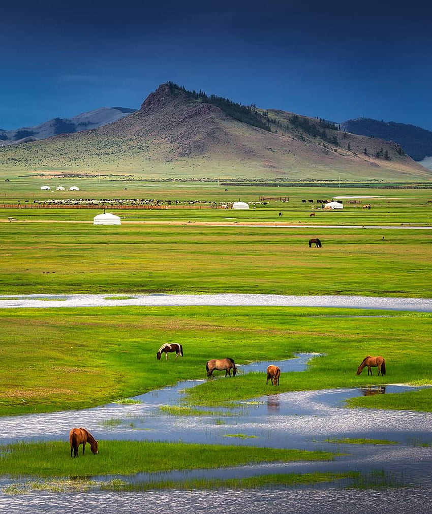 Mongolia tweet media
