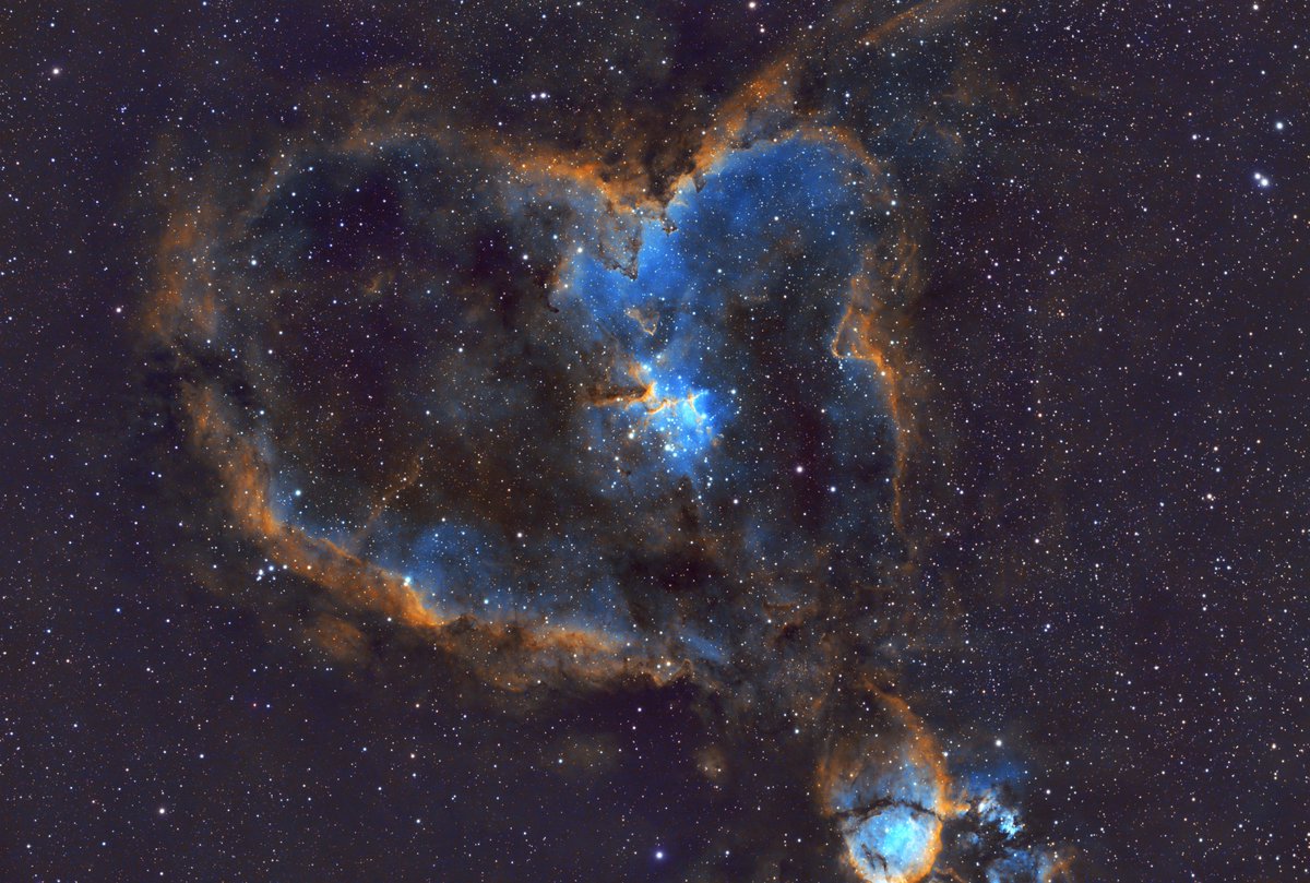 Emre Özden tweet media