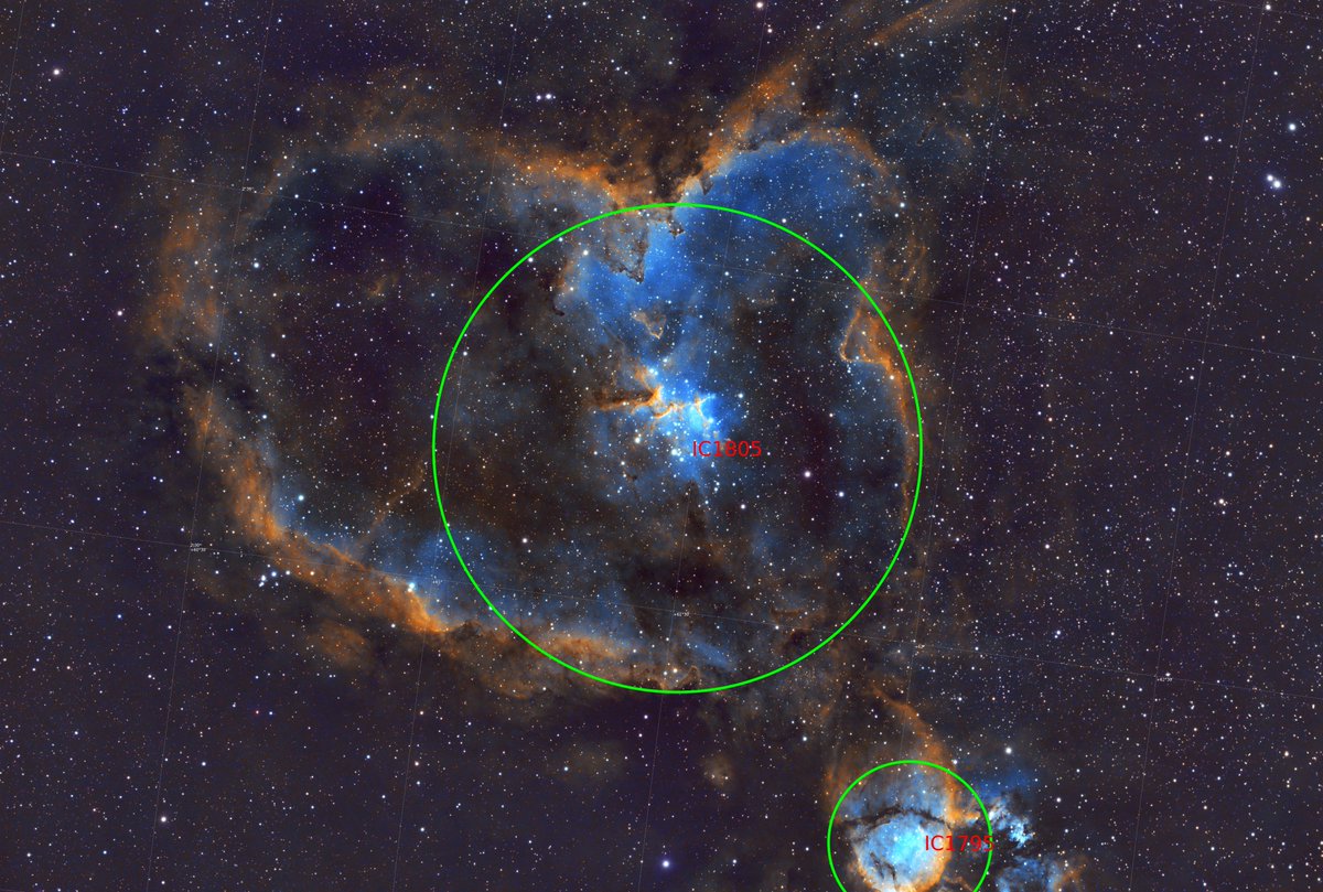 Emre Özden tweet media