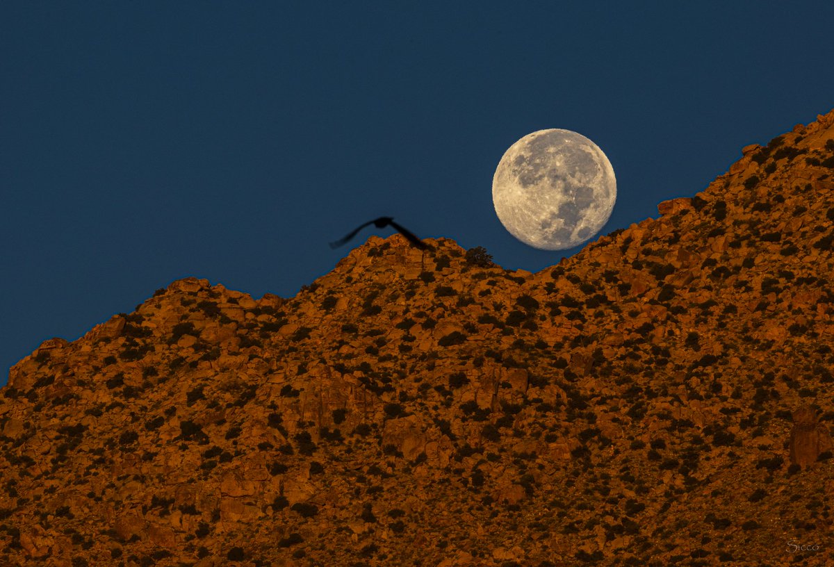 AnzaBResearch's tweet photo. The waning gibbous moon setting behind the San Ysidro Mountains this morning (Photo: Sicco Rood). https://t.co/4Hn0FLaaZe