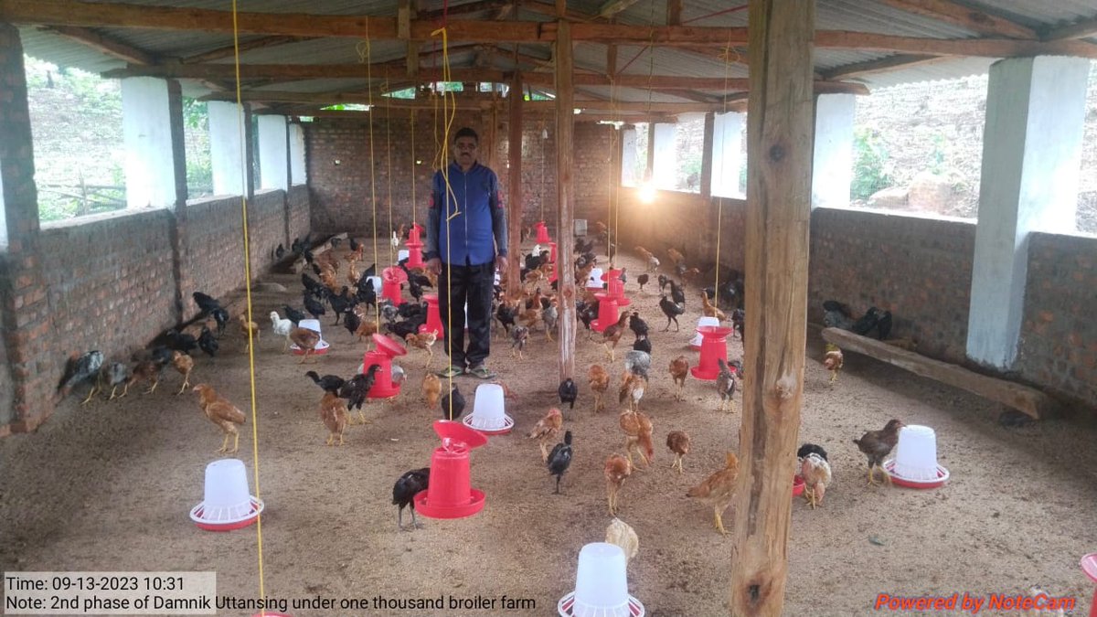 OvsaKandhamal's tweet photo. 2nd phase asset verification of 1000 layers in the deep litter system 
Beneficiary:- Domnik uthansingh
Address:- Pokari, Kotagarh
#Veterinarian #Animal_Production
@CMO_Odisha @dahvsodisha @Dept_of_AHD @DMKandhamal @farddept @MoSarkar5T @rajaaswain https://t.co/qvlagQyNHy