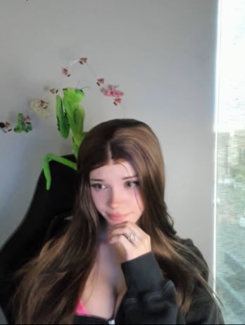 VERSING OFF LIVE NOW 💢
Twins V. Twins Battle of The Ants Underground Kingdoms!! 
https://t.co/jEdK3ZgxNr https://t.co/EUY4XzIGVp