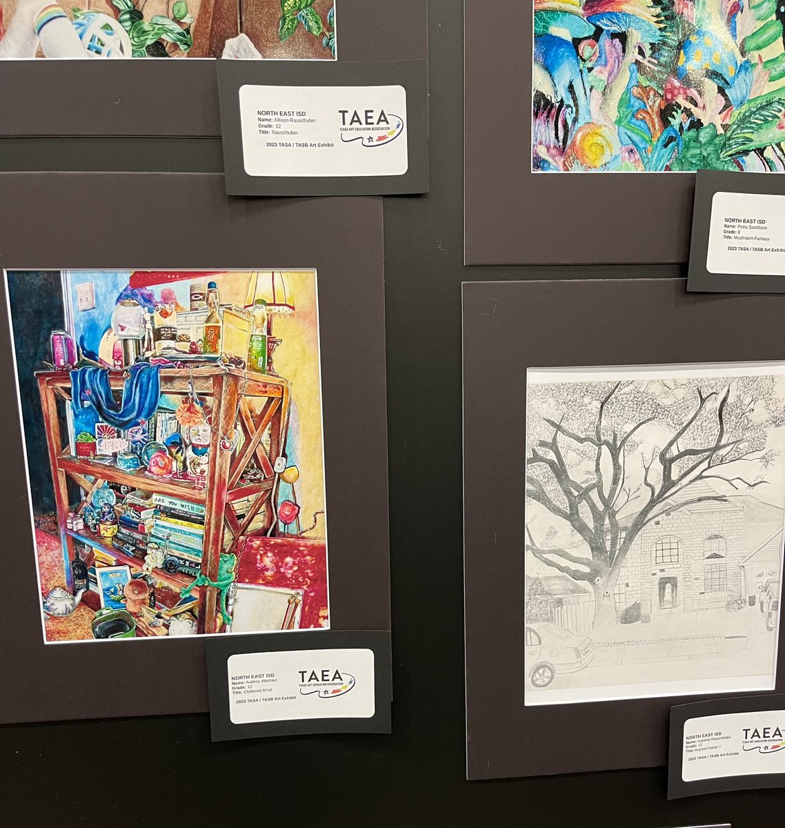 I love to visit the student art exhibit at the TASB conference. We have some very talented students in NEISD. Congrats to our students who had their artwork displayed!!